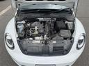 VOLKSWAGEN THE BEETLE