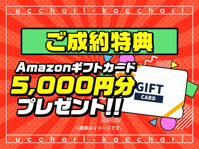 Ｓ　モデリスタエアロ／レーダークルーズコントロール／純正ナビ／地デジ／バックカメラ／プリクラッシュセーフティ／ＥＴＣ／社外１７インチＡＷ(46枚目)