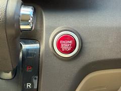 ΡݣϣΣ ḁ̇̄ѥåʥӡãġХå 1157465A30251006W002 6