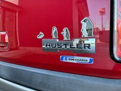 �ϥ��顼 �ء��ʥӡ��ƥ�ӡ��£����������衡�졼�����֥졼�����ݡ��� 1157465A30251120W002 3