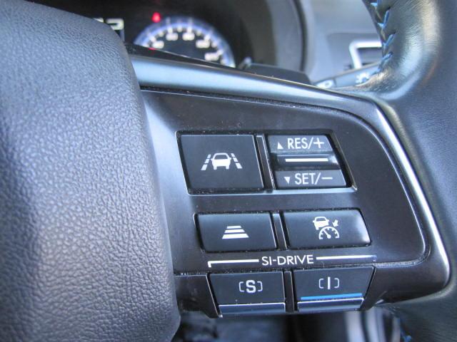 レヴォーグ １．６ＧＴ－Ｓアイサイト　プラウドエディション　アドバンスドセイフティーＰＫＧ　４ＷＤ　ナビ・フルセグＴＶ　　衝突安全ボディ　電動シート　Ｂカメラ　ＥＴＣ車載器　オートライト　ＬＥＤヘッドランプ　横滑り防止装置　盗難防止システム（35枚目）