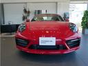 ９１１カレラ　スポーツデザインフロントエプロン社外ＴＶ（14枚目）