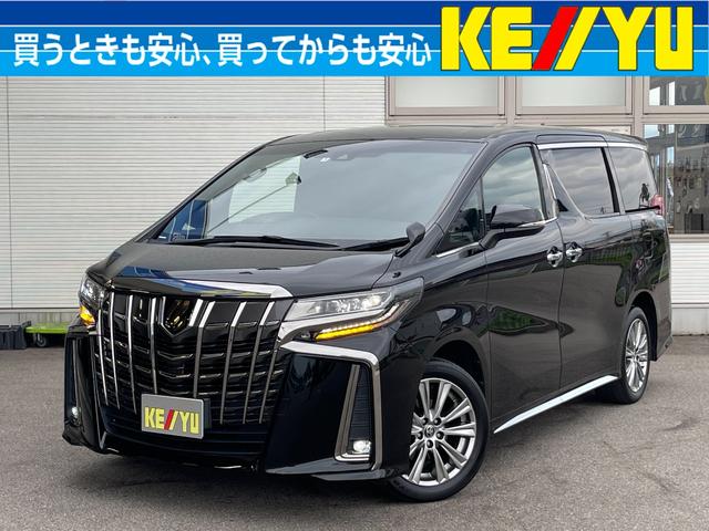 2.5S タイプゴールドII 4WD 禁煙車 9型ディスプレイオーディオ バックカメラ 両側電動スライドドア セーフティセンス レーダークルーズ パワーバックドア 3眼LEDヘッドライト シーケンシャルウィンカー ETC クリアランスソナー(53枚目)