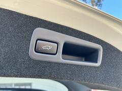 ϥꥢ ץߥ 1157587A30251117W002 6