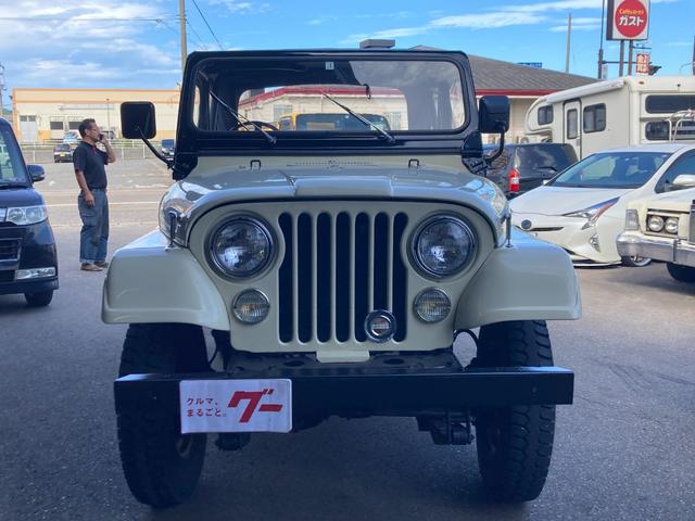 ジープその他 　８１年式ＪＥＥＰ　ＣＪ－５　純正部品カスタム　ベストトップ社幌　ラゲッドリッジ社シート（31枚目）