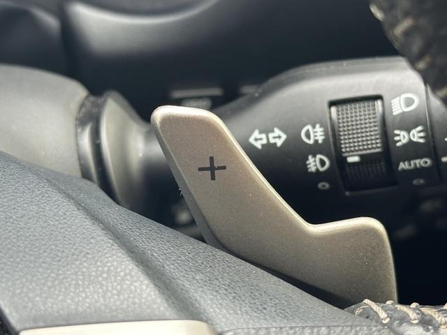 ＮＸ ＮＸ３００　Ｆスポーツ（44枚目）