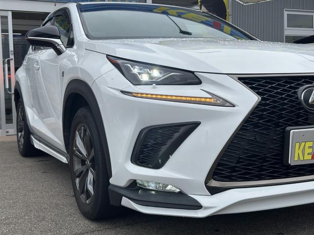 ＮＸ ＮＸ３００　Ｆスポーツ（51枚目）