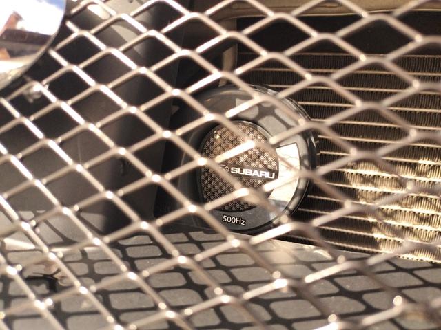 純正オプションダブルホーン