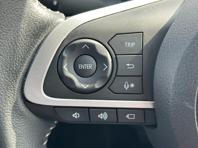 ライズ Z(34枚目)