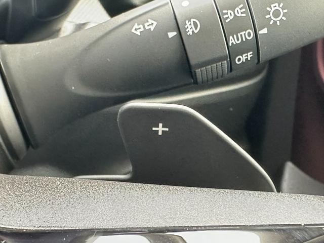 スペーシアカスタム ハイブリッドXSターボ(37枚目)