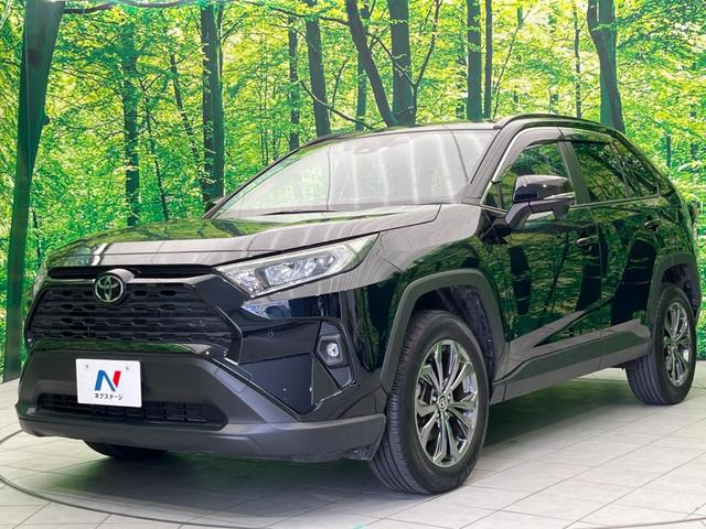 ＲＡＶ４ Ｘ　８型ディスプレイ　バックカメラ　ブラインドスポットモニター　セーフティセンス　レーダークルーズ　ＥＴＣ　ドライブレコーダー　スマートキー　ＬＥＤヘッド　クリアランスソナー　純正ＯＰ１８インチアルミ（57枚目）