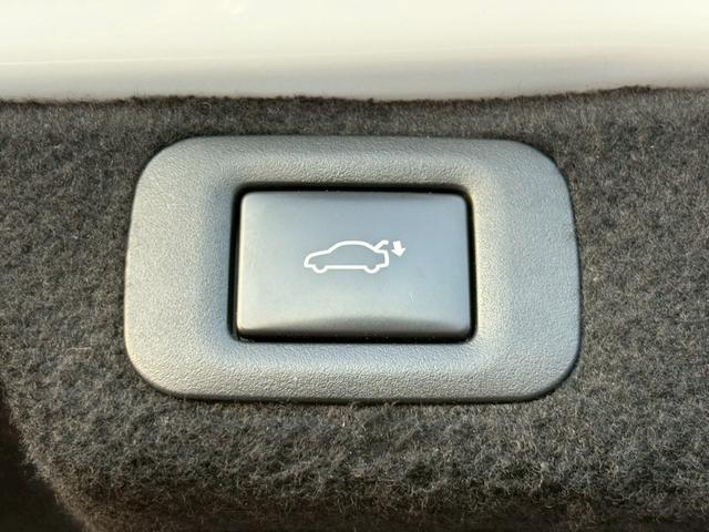 LS LS500 Fスポーツ OPエアロ ムンルーフ 白革 マークレビンソン HUD フルセグ パノラミックビュM デジタルミラ Cソナ(37枚目)