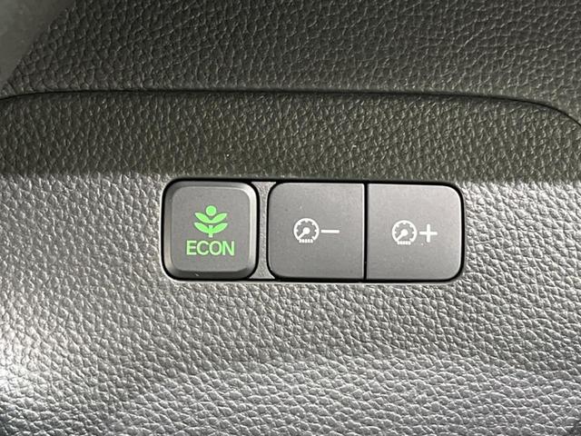 G・Lホンダセンシング 4WD 禁煙車 純正ナビ バックカメラ ETC 前席シートヒーター 電動スライドドア オートマチックハイビーム クリアランスソナー クルーズコントロール オートエアコン LEDヘッドライト フルセグ(40枚目)
