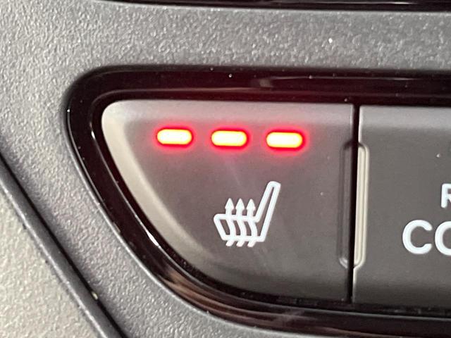 ステップワゴン ｅ：ＨＥＶスパーダ　プレミアムライン　ホンダセンシング　両側パワースライドドア　純正１１．４インチ純正ナビ　全周囲カメラ　Ｂｌｕｅｔｏｏｔｈ再生　ドライブレコーダー　ＥＴＣ　デュアルオートエアコン　クリアランスソナー　禁煙車　ＬＥＤヘッド（30枚目）