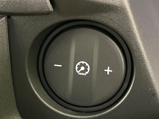 WR-V Z+ ホンダセンシング 純正ナビ Bluetooth再生 ドライブレコーダー バックカメラ フルセグTV ETC LEDヘッドライト フロントフォグ アダプティブクルーズ サイドエアバッグ 禁煙車(49枚目)