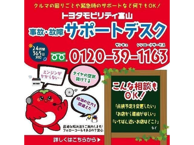 アルファード 2.5S フルセグ メモリーナビ DVD再生 後席モニター バックカメラ ETC 電動スライドドア LEDヘッドランプ 乗車定員7人 3列シート(40枚目)