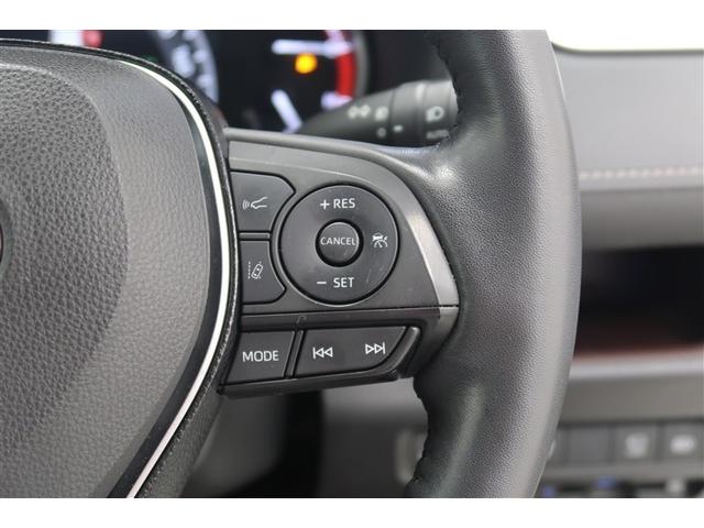 ＲＡＶ４ Ｇ　Ｚパッケージ　４ＷＤ　メモリーナビ　バックカメラ　衝突被害軽減システム　ＥＴＣ　ドラレコ　ＬＥＤヘッドランプ（19枚目）