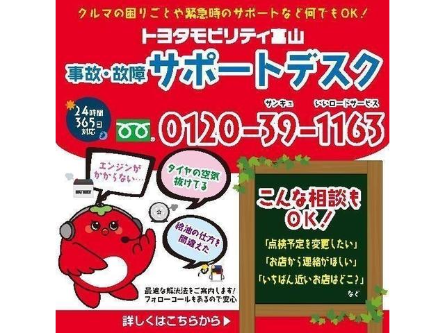 カローラツーリング Ｇ－Ｘ　メモリーナビ　バックカメラ　衝突被害軽減システム　ＥＴＣ　ＬＥＤヘッドランプ（39枚目）