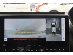 �ڥѥΥ�ߥå��ӥ塼��˥����ۥ���ޤμФ����俿���ʤɡ��ܤ��Ϥ��ˤ����ս���ǧ�Ǥ��뤿�ᡢ�����᤯�㳲ʪ�˵����դ����Ȥ��Ǥ��ư¿��Ǥ��͢� 4