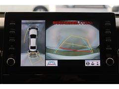 �ڥѥΥ�ߥå��ӥ塼��˥����ۥ���ޤμФ����俿���ʤɡ��ܤ��Ϥ��ˤ����ս���ǧ�Ǥ��뤿�ᡢ�����᤯�㳲ʪ�˵����դ����Ȥ��Ǥ��ư¿��Ǥ��͢� 6