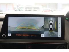 �ڥѥΥ�ߥå��ӥ塼��˥����ۥ���ޤμФ����俿���ʤɡ��ܤ��Ϥ��ˤ����ս���ǧ�Ǥ��뤿�ᡢ�����᤯�㳲ʪ�˵����դ����Ȥ��Ǥ��ư¿��Ǥ��͢� 6