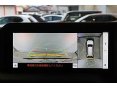 �ڥѥΥ�ߥå��ӥ塼��˥����ۥ���ޤμФ����俿���ʤɡ��ܤ��Ϥ��ˤ����ս���ǧ�Ǥ��뤿�ᡢ�����᤯�㳲ʪ�˵����դ����Ȥ��Ǥ��ư¿��Ǥ��͢� 5