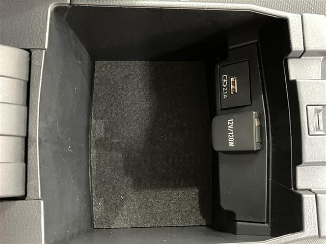 �y�A�N�Z�T���[�\�P�b�g�z�P�Q�u�̃J�[�p�i���̓d���������\�ł��B