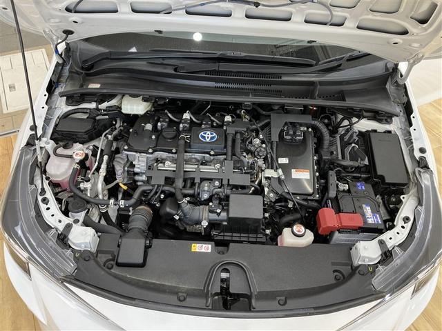 �y�܂�܂�N���[�j���O�z�G���W�����[��������������E���o���������܂��B���h�������łȂ��A�����̂��₷�������サ�܂��̂ōw����̃R���f�B�V�����ێ��ɂ��v�����܂��B