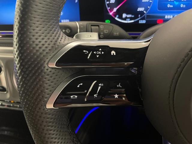 Gクラス G450d ローンチエディション 1オーナ/サンルーフ/Gマヌファクトゥーアエディション/オートステップ/Burumester/ドライブレコーダー/純正ナビゲーション/温冷機能付きカップホルダー認定中古車/2年保証(64枚目)