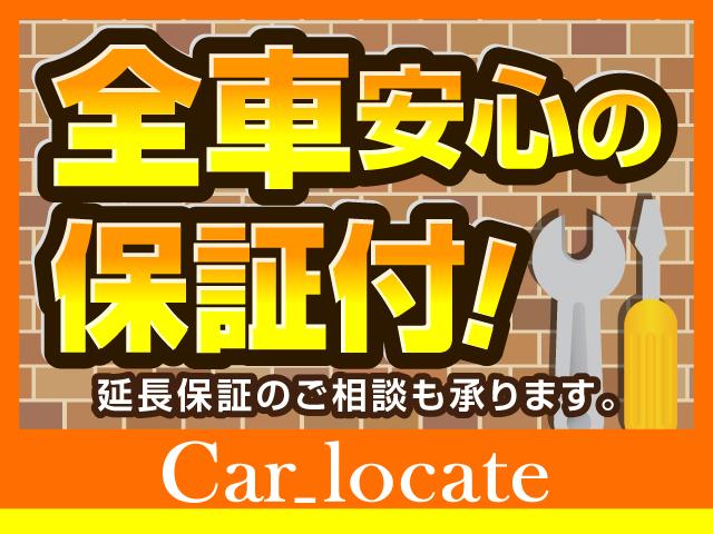 キャロル ＧＳ　バッテリー新品　ＡＢＳ　バイザー　キーレス　社外アルミ　電動格納ミラー　ＣＤ　ＦＭ　ＡＭ　盗難防止システム（50枚目）