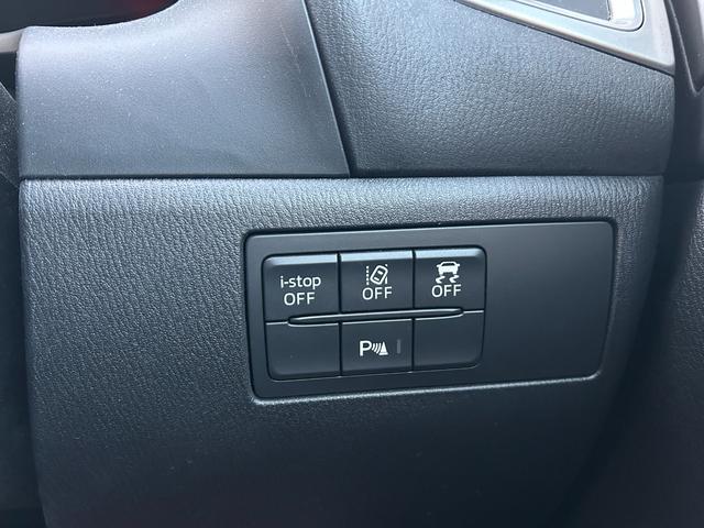 アクセラ 15S 純正ナビ FM AM CD DVD BLUETOOTH TV スマートキー プッシュスタート LEDヘッドランプ クルーズコントロール オートエアコン 電動格納ミラー ABS 15インチアルミホイール(39枚目)