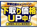 プラスハナ　社外ＳＤナビ　ＣＤ　ＤＶＤ　フルセグ　Ｂｌｕｅｔｏｏｔｈ　ＦＭ　ＡＭ　ＥＴＣ　オートエアコン　社外アルミ　ウインカーミラー　バイザー　電動格納ミラー　スマートキー　ＡＢＳ　４ＷＤ（55枚目）