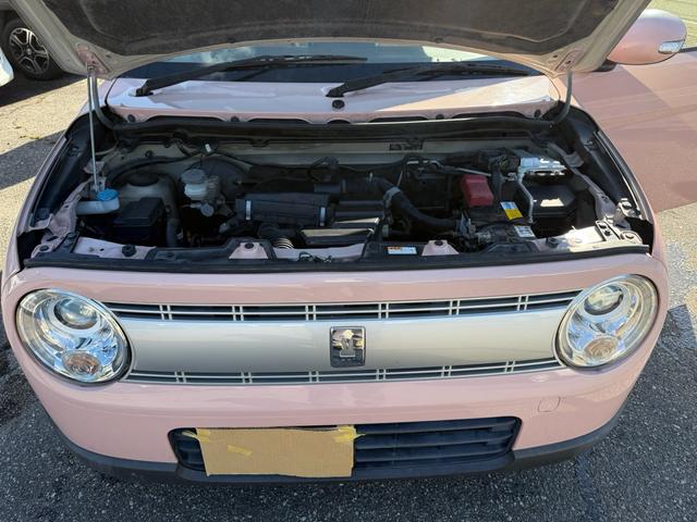 アルトラパン X(23枚目)