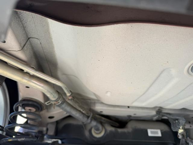 アルトラパン X(33枚目)