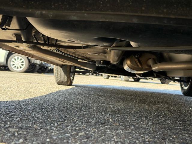 アルトラパン X(36枚目)