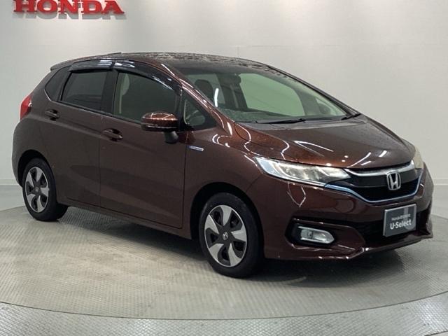 フィットハイブリッド Ｆ　１年保証　ワンオ－ナ－　ナビＶＸＭ－１７４ＶＦＸｉ　ＴＶ　Ｒカメラ　ＢＴオ－ディオ　ＤＶＤ　ＥＴＣ　ＬＥＤライト　ＶＳＡ　スマ－トキ－　盗難防止装置　整備記録簿　ＡＡＣ　ドアバイザ－　Ｗエアバッグ（46枚目）