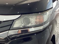 �ǥ������㡼���إåɥ饤����ܤǤ��ä������뤯�Ȥ餷�Ƥ����Τǡ�������Ԥ��Դ����ƻ�Ǥ�¿��Ǥ��� 6