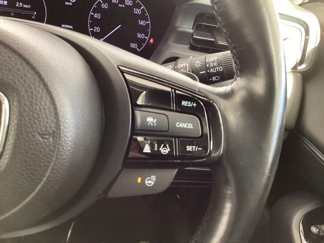 �N���[�Y�R���g���[���𑕔����Ă��܂��B�������H�Ȃǂň��̑��x�ő����Ă����̂ŉ^�]���y�ł���I���x��ݒ�ł��܂��̂ŁA�X�s�[�h�̏o�������ɂ����ӂł��܂��B