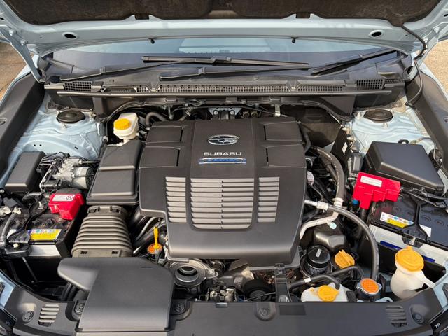 ���Ђł͂��[�Ԏ��Ɏ����N���[�j���O�ƃ{�f�B�̖����𖳗��Ŏ��{���Ă���܂��I���L�Y�⎺��������Y��Ɏd�グ�܂��I