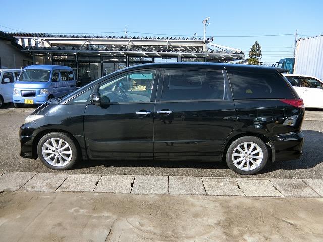 大人気のブラック