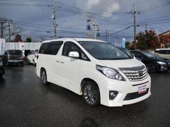 ����ե����� �������ӡ������ץ�����ɣɣɡ��ʥӣԣ֡ʥե륻���ˡ��ץѥ���饤�ɥɥ����ţԣ� 1161042A30251118W002 3