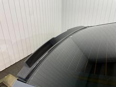 �ץꥦ�� �ڡ��ꥢ���⡼�����饹���ǣҥꥢ���ݥ��顼���ꥢ�ե�������������������ģ� 1161047A30251008W003 7