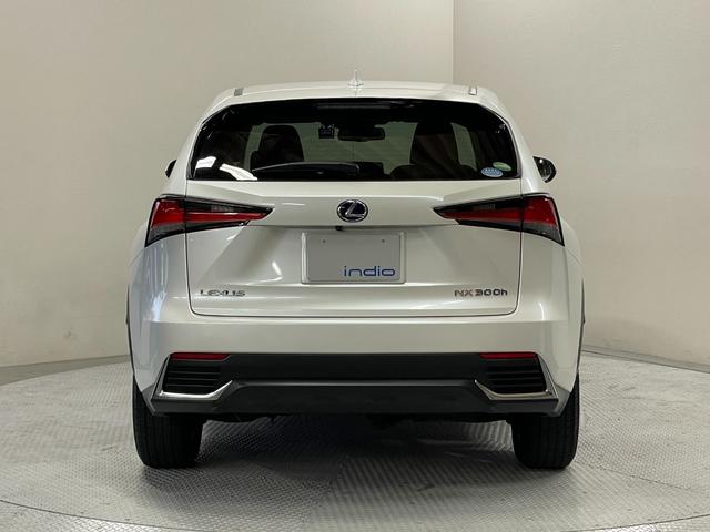 LEXUS NX NX300H I PACKAGE