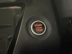 �롼���� �ϥ����������������ǥ����ܡ����������ʥӡʣͣͣ������ġݣ̡ˡ����饦��ɥӥ塼��˥��������ޡ������󥷡��֥졼�� 1161052A30251217W012 7