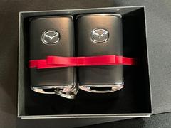 �����ɥ����� �ӥ��ڥ����ѥå���������󥪡��ʡ����ر�֡������ǥ����ץ쥤�����ǥ����������ȥҡ����� 1161052A30260321W009 5