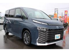  ϥ֥åɣӡݣǡ졼󥢥ȡꥢȥϥǥȥޥåϥӡ 1161072A30251026W001 7