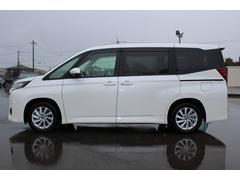 Υ ǡ֥롼ȥͷڸ֥졼Ͼǥ롡̣ţĥ饤 1161072A30251026W002 2