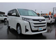 Υ ǡ֥롼ȥͷڸ֥졼Ͼǥ롡̣ţĥ饤 1161072A30251026W002 7