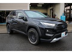 �ң��֣� �ϥ��֥�åɥ��ɥ٥���㡼��������æ���̣ţĥإåɥ饤�ȡ������ȥޥ��å��ϥ��ӡ��ࡡ���������� 1161072A30251102W002 3