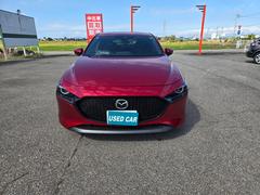 ͣڣģեȥХå ӥץƥ֡ʥӡե륻ţԣáХå 1161121A30251120W005 3